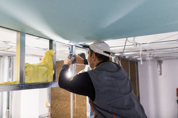 Best Insulation for Specific Applications in Listoga, CA